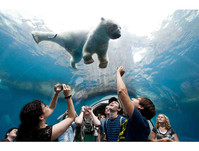 Asian Lantern Festival at the Pittsburgh Zoo & Aquarium