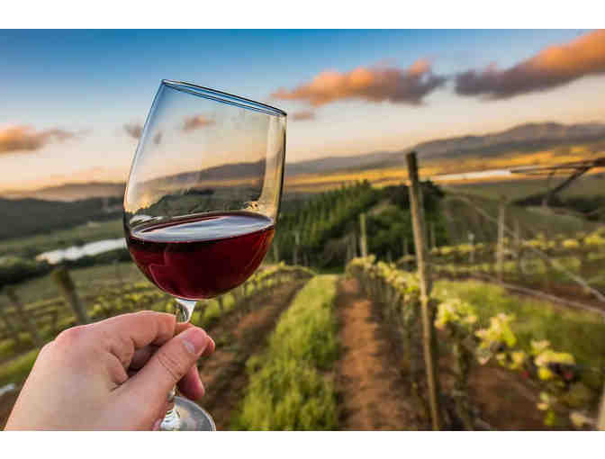 Wine Tasting Flights by Grandview Vineyard - Photo 1