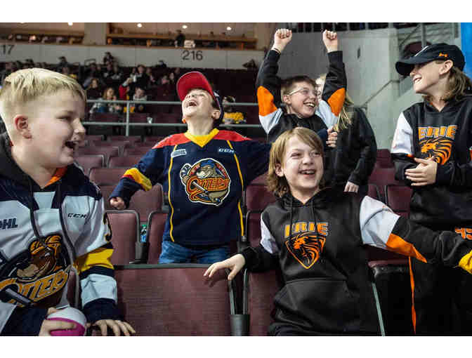 Erie Otters - Private Suite - Photo 4