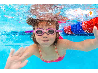 Dive In To Goldfish Swim School!
