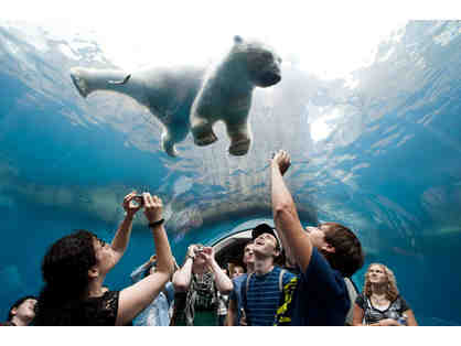 Wild Encounter at the Pittsburgh Zoo & Aquarium