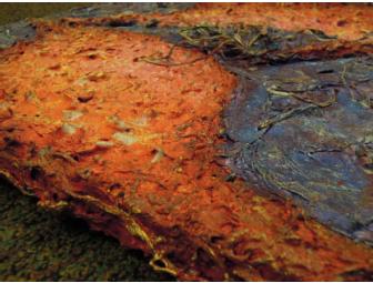 Original Mimie Zlotnik Multimedia Artwork