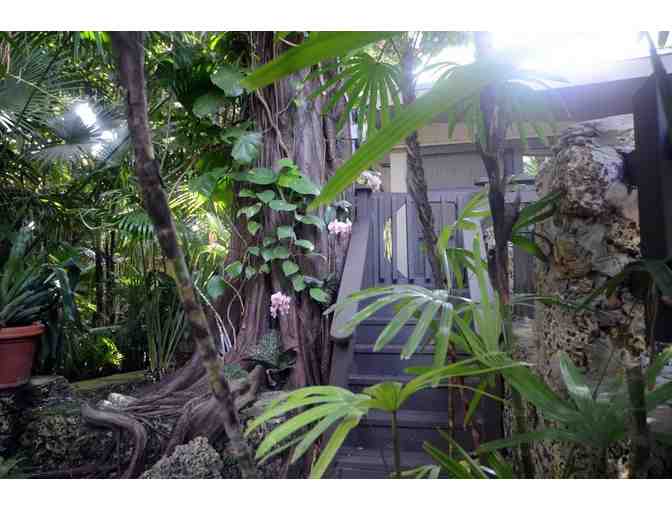 Coconut Grove, FL midcentury house 3 night stay