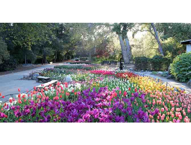 Descanso Gardens - 1 family daytime pass and 4 train tickets