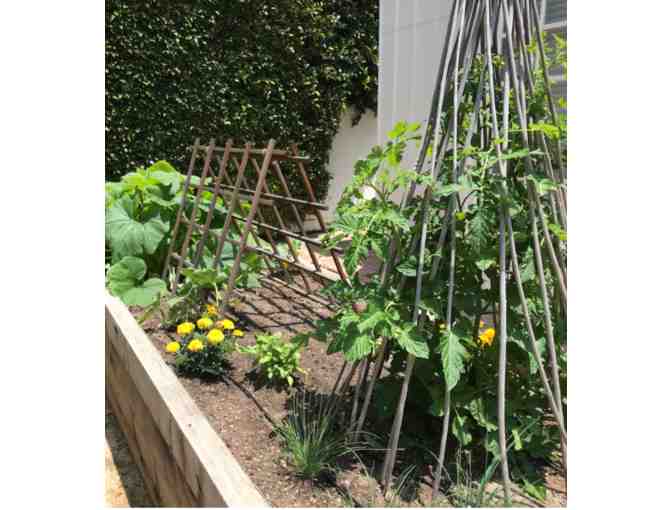 California Native or Edible Garden Consultation