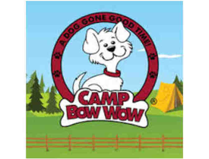 Camp Bow Wow Gift Basket and Certificate