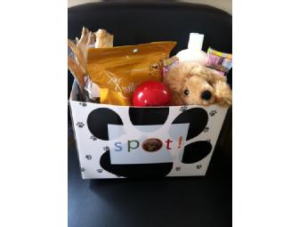 Pamper Your Pooch!  Gift Basket from SPOT and Grooming for A Year!