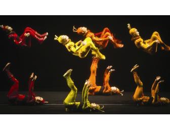 Two Tickets to Cirque du Soleil's IRIS, Plus Drink Vouchers