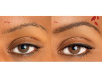 Eyebrows OR Eyeliner From Mahnaz Permanent Makeup