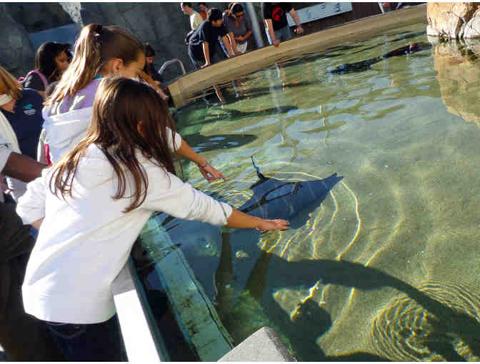 Family Fun Day in Long Beach! Four Tickets to Aquarium of the Pacific & Dining Package