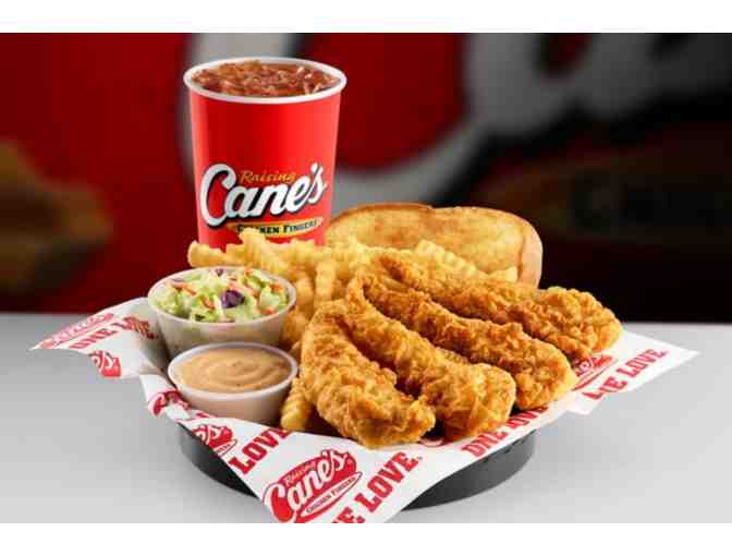 Picnic in the Park with Raising Cane's Opportunity Drawing