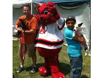 Albany Devils Luxury Suite for 16 Guests and Visit from Devil Dawg