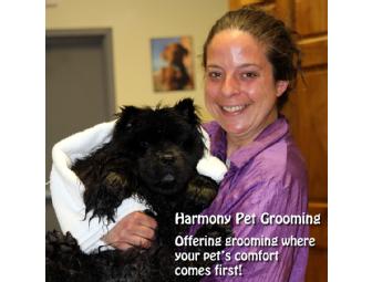Three (3) Full Service Dog Grooms at Harmony Pet Grooming - Latham, NY