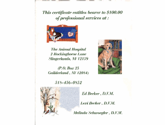 The Animal Hospital $100 Gift Certificate - Guilderland, NY