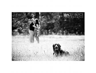 Professional Dog Photo Shoot and 2013 Calendar Cover