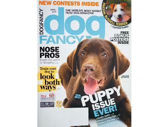 Professional Dog Photo Shoot and 2013 Calendar Cover