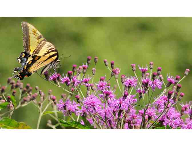 Chester County Fun Pack