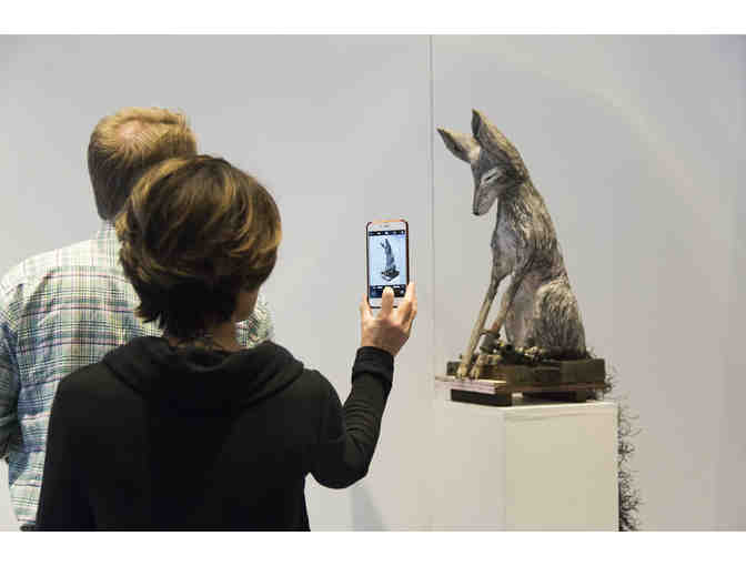 4 VIP Passes to Art Fair 14C