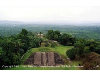7 day Vegan Fusion Belize/Mayan Retreat Accommodations Included