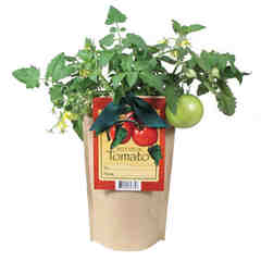 Delicious Veggie Grow Kits $10! - $4 donated to HMUSA