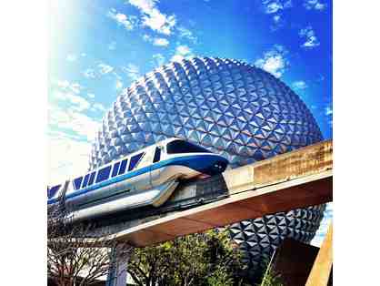 WALT DISNEY WORLD HOPPER PASSES