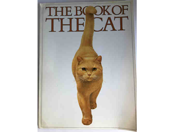 Beautiful Coffee Table Books on Felines - our Special Pets