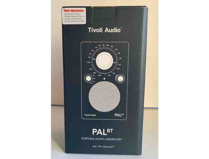 Tivoli PAL BT- Bluetooth Portable Radio and Earpeace High Fidelity Ear Plugs