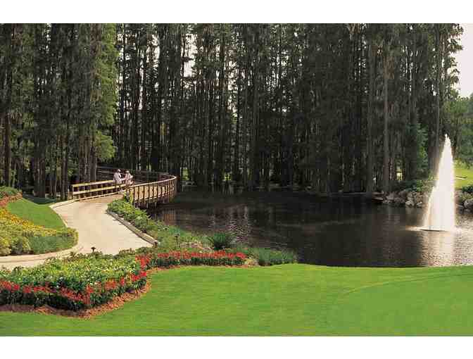4 Nights at the Saddlebrook Resort in Tampa, Florida, for Up to 6 People - Photo 7