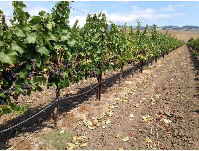 Sonoma Wine Country Stay, Dine & Sip