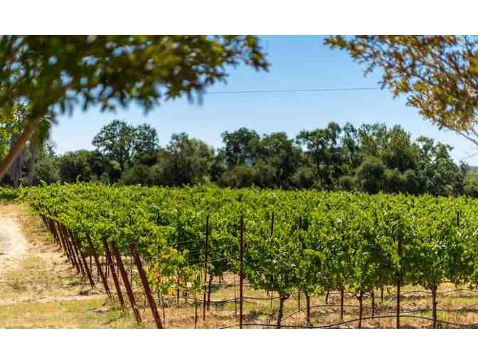 Sonoma Wine Country Getaway