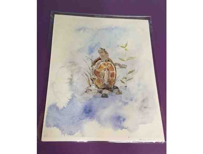 Bird Pun Cards and Turtle Watercolor Print