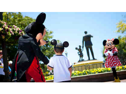 Disneyland-CA Adventure Park-Hopper tickets