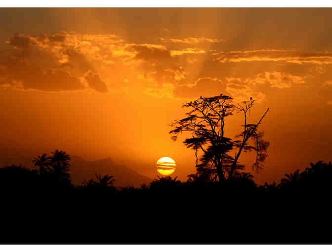 16' x 20' Photograph from Russell Downing -- You Choose the Photo!