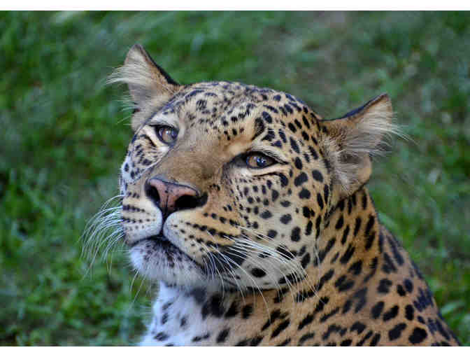 16' x 20' Photograph from Russell Downing -- You Choose the Photo!