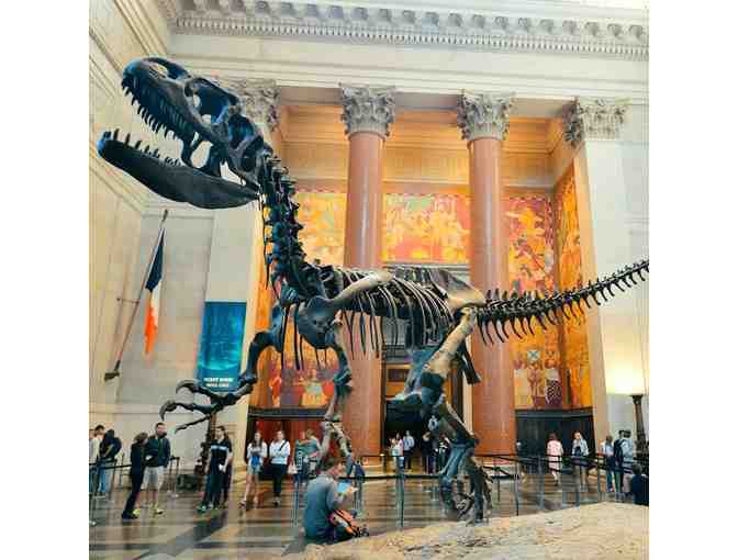 Family Outing of 4 - THE AMERICAN MUSEUM OF NATURAL HISTORY
