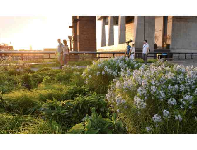 Private tour of NYC's High Line for 10 with Lunch at Chelsea Market