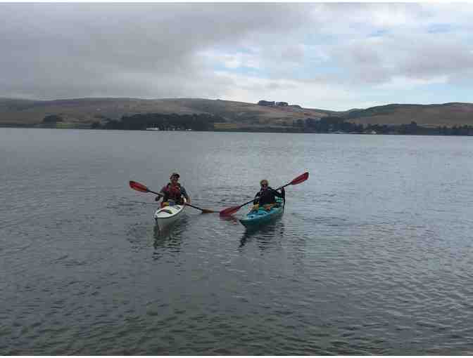 Guided Kayak Tour of Tomales Bay, Calif., with Gourmet Lunch