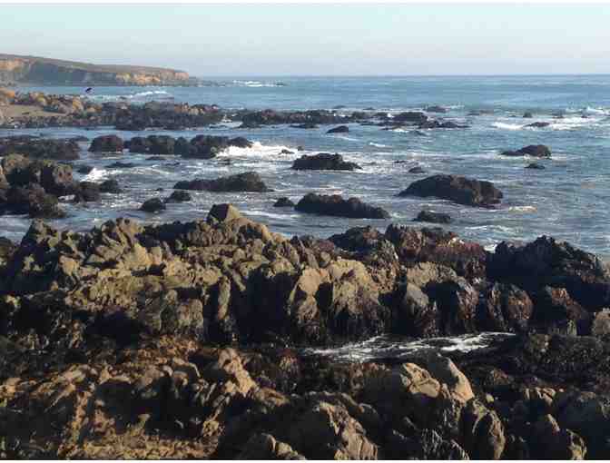 Cambria (Calif.) Vacation Rental