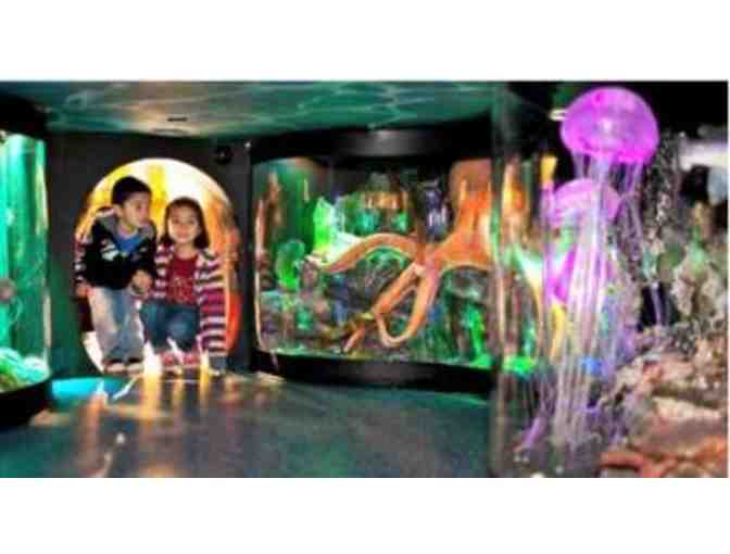 Family Admission to the Hands On Children's Museum in Olympia, WA