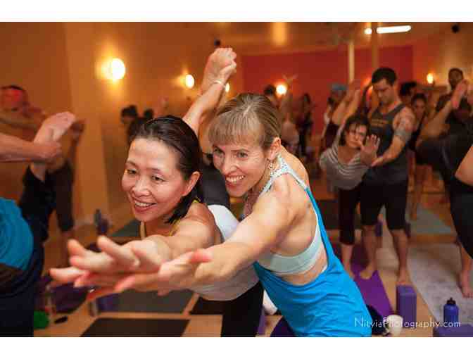 Shakti Vinyasa 8 Class Intro to Yoga Series