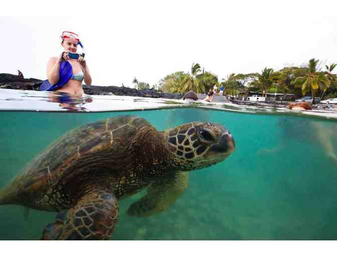 Kailua-Kona, Big Island, Hawaii 7-Night Condo Accommodations