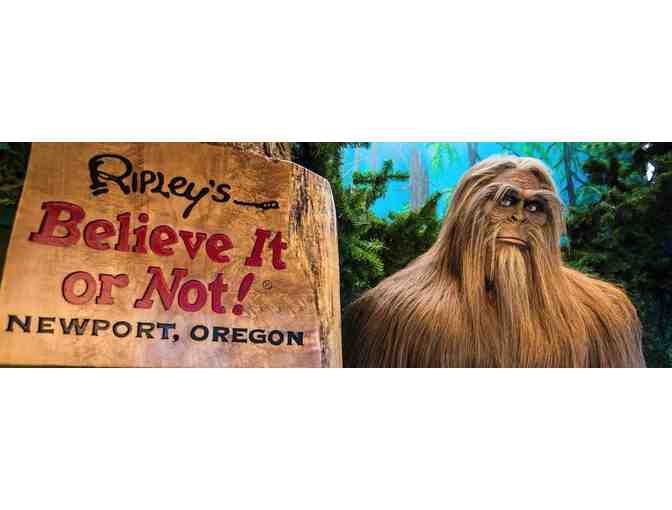 Oregon Coast Experience