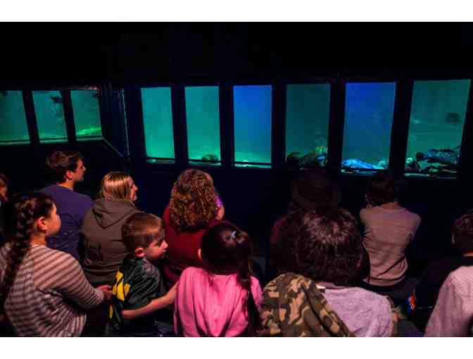 Oregon Coast Experience