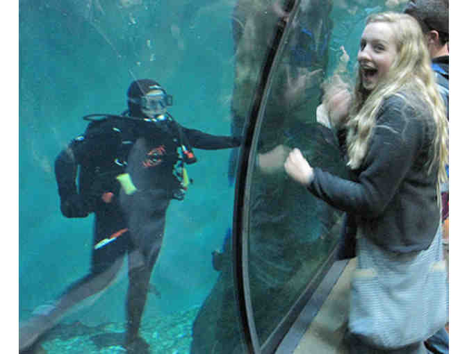 Oregon Coast Experience