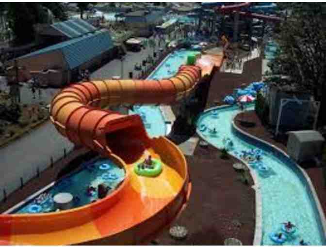 A day of Amusement & Races