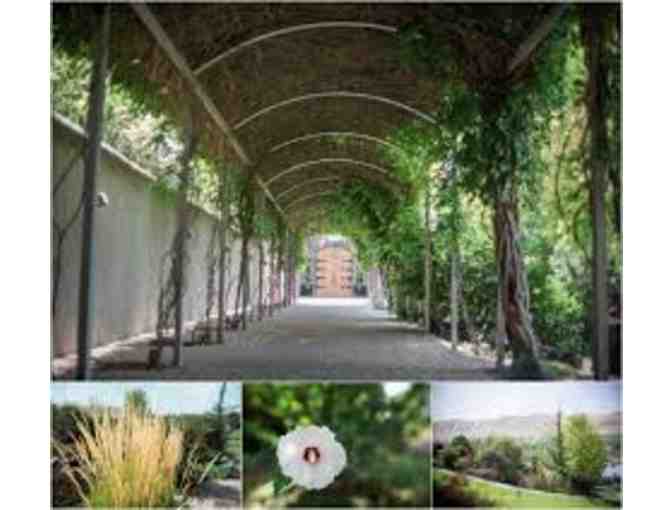 Tour & Tasting for 8 at Terra Blanca + a Magnum of Arch Terrace Cabernet Sauvingon