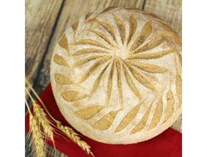 Bread for a Year from Great Harvest Bread Company