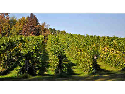 Fruitful Vine Winery