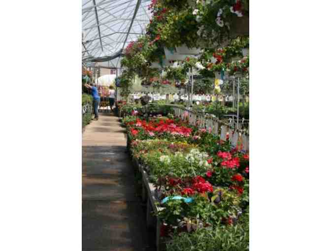 $30 Flowerland gift Card