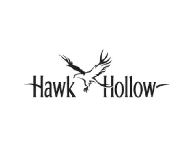 9-Hole Twosome @ Ironwood Golf Course AND 4 Players Pay for the Price of 2 at Hawk Hollow